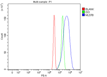 MLST8 Rabbit Polyclonal Antibody