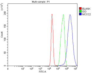 MCCC2 Rabbit Polyclonal Antibody