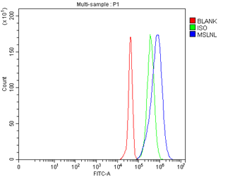 MSLNL Rabbit Polyclonal Antibody