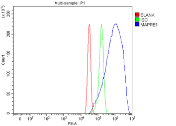 EB1/MAPRE1 Rabbit Polyclonal Antibody