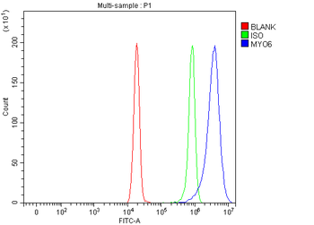 MYO6 Rabbit Polyclonal Antibody