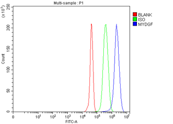 C19orf10/MYDGF Rabbit Polyclonal Antibody