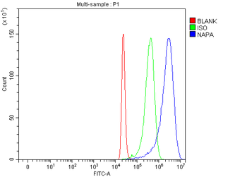Alpha SNAP/NAPA Rabbit Polyclonal Antibody