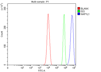 NAP1L1 Rabbit Polyclonal Antibody