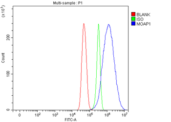 MOAP1 Rabbit Polyclonal Antibody