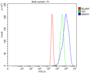 MNAT1 Rabbit Polyclonal Antibody