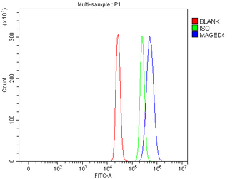 MAGED4 Rabbit Polyclonal Antibody