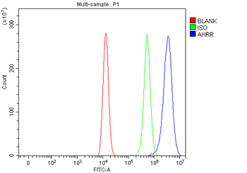 AHRR Rabbit Polyclonal Antibody