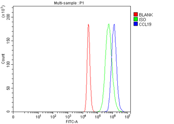 MIP-3 Beta/CCL19/MIP Rabbit Polyclonal Antibody