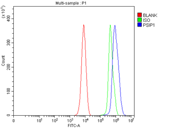PSIP1 Rabbit Polyclonal Antibody