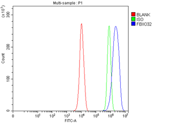 FBXO32 Rabbit Polyclonal Antibody