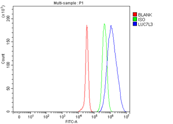 CROP/LUC7L3 Rabbit Polyclonal Antibody