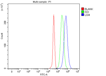 LGI4 Rabbit Polyclonal Antibody