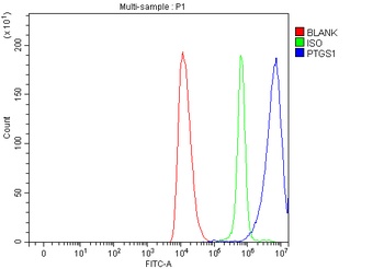 COX1/Cyclooxygenase 1/PTGS1 Rabbit Polyclonal Antibody
