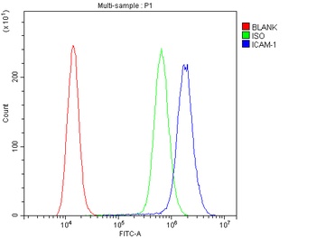 ICAM1 Rabbit Polyclonal Antibody