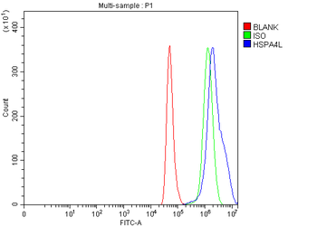 HSPA4L Rabbit Polyclonal Antibody