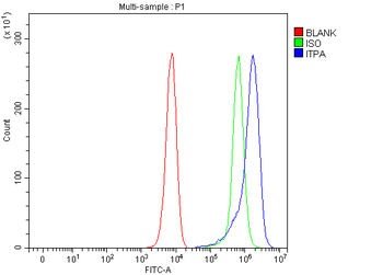 ITPA Rabbit Polyclonal Antibody