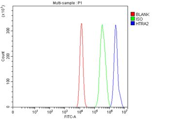 HTRA2 Rabbit Polyclonal Antibody