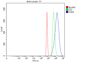 PHF6 Rabbit Polyclonal Antibody