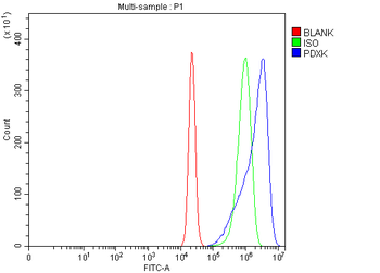 PDXK Rabbit Polyclonal Antibody