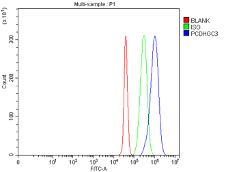 PCDHGC3 Rabbit Polyclonal Antibody