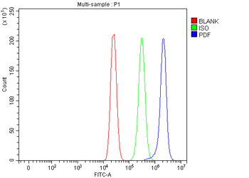 PDF Rabbit Polyclonal Antibody
