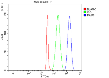 PAIP1 Rabbit Polyclonal Antibody