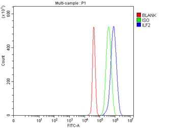 NF45/ILF2 Rabbit Polyclonal Antibody