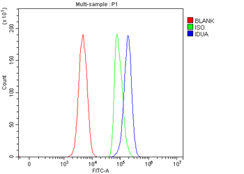 IDUA Rabbit Polyclonal Antibody