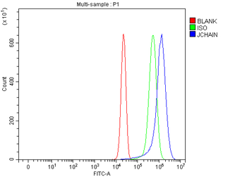 JCHAIN Rabbit Polyclonal Antibody