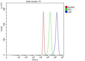 LZIC Rabbit Polyclonal Antibody