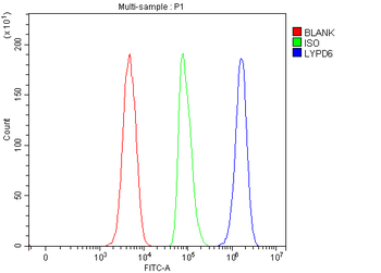 LYPD6 Rabbit Polyclonal Antibody