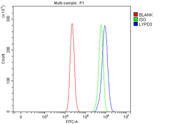 LYPD3 Rabbit Polyclonal Antibody