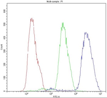 BID Rabbit Polyclonal Antibody