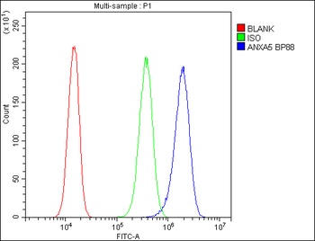 Annexin V/ANXA5 Rabbit Polyclonal Antibody