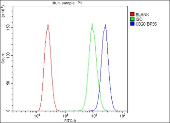 CD20/MS4A1 Rabbit Polyclonal Antibody