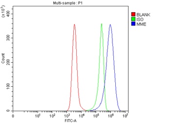 CD10/MME Rabbit Polyclonal Antibody