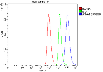 Annexin IV/ANXA4 Rabbit Polyclonal Antibody