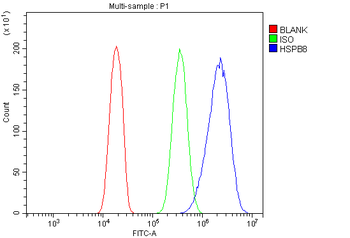 HSPB8/Hsp22 Rabbit Polyclonal Antibody