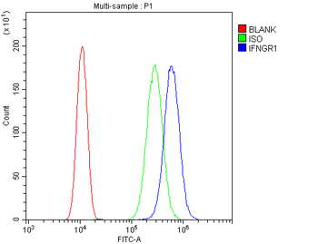IFNGR1 Rabbit Polyclonal Antibody