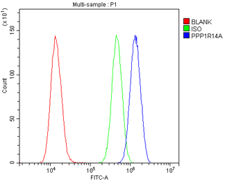 CPI17 alpha/PPP1R14A Rabbit Polyclonal Antibody
