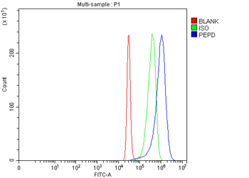 PEPD Rabbit Polyclonal Antibody