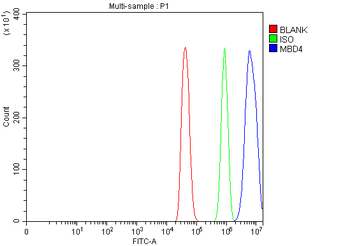 Mbd4 Rabbit Polyclonal Antibody