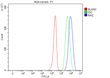 MAZ Rabbit Polyclonal Antibody