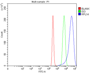 RPL14 Rabbit Polyclonal Antibody