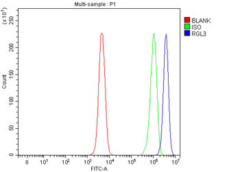 RGL3 Rabbit Polyclonal Antibody