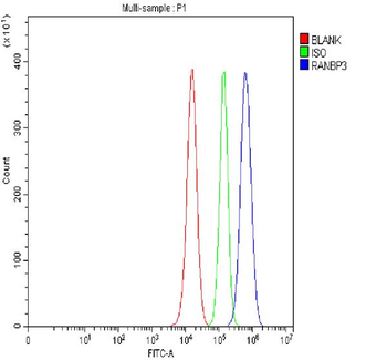 RANBP3 Rabbit Polyclonal Antibody