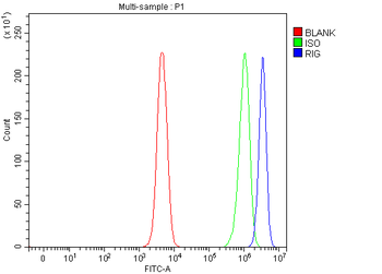 DKK3/RIG Rabbit Polyclonal Antibody