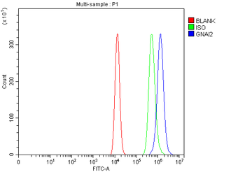 GNAI2 Rabbit Polyclonal Antibody