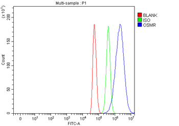 Osmr Rabbit Polyclonal Antibody